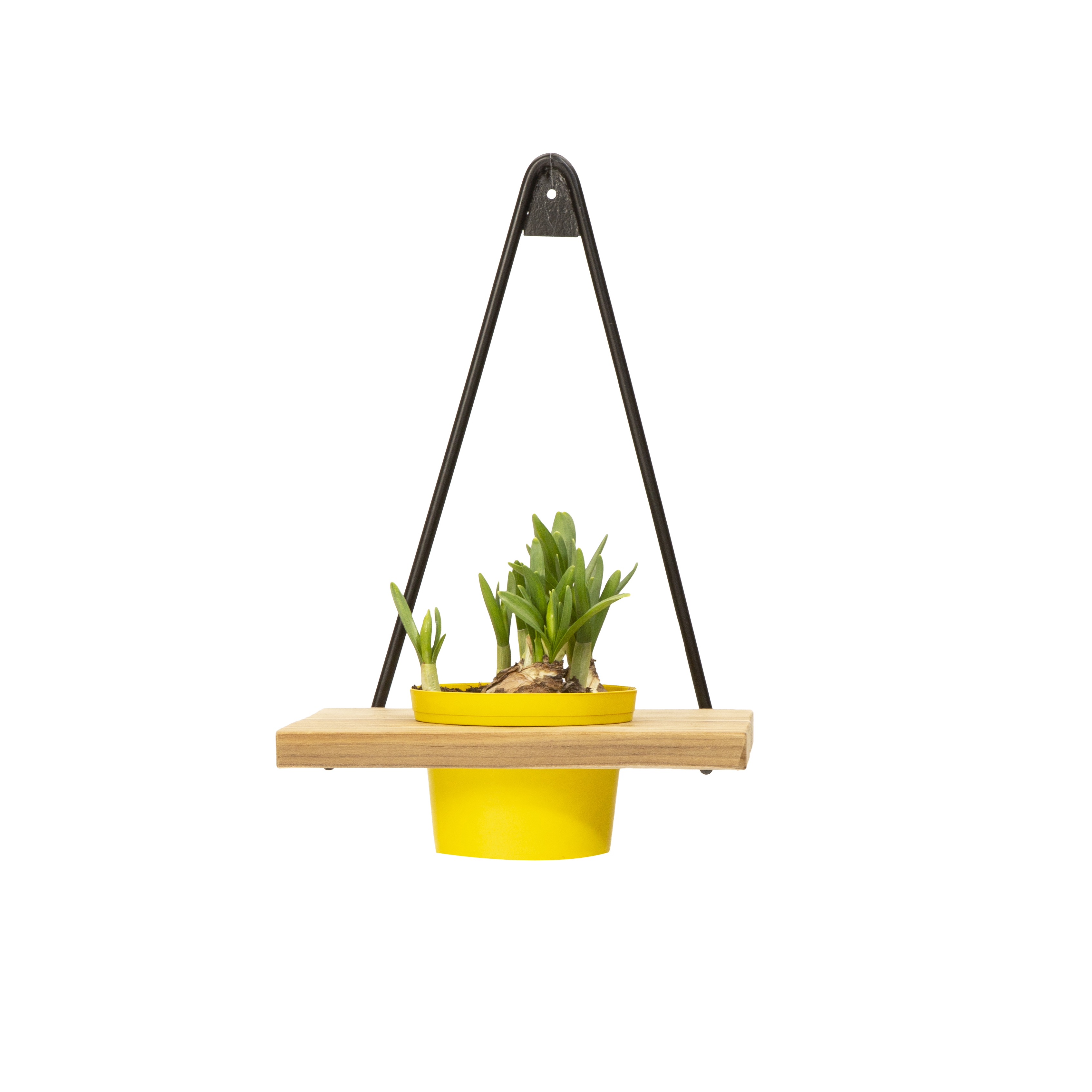 Pflanzenhalter "Lara" horizontal